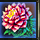 Incarnation of Lotus