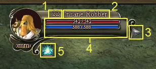 Target information interface