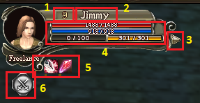 Character information interface