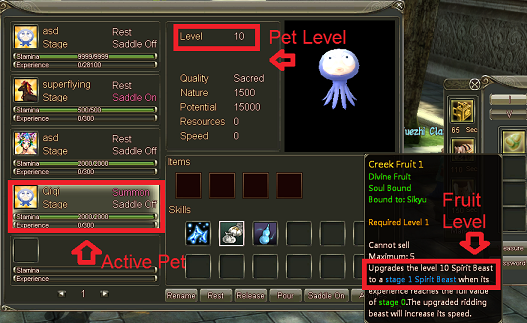 Main pet window